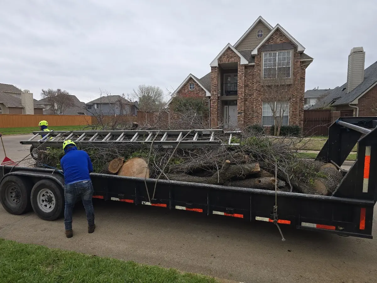 Expert Tree Fertilization with proper safety equipment in Waterford